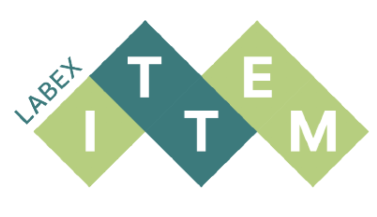 Logo Labex Item